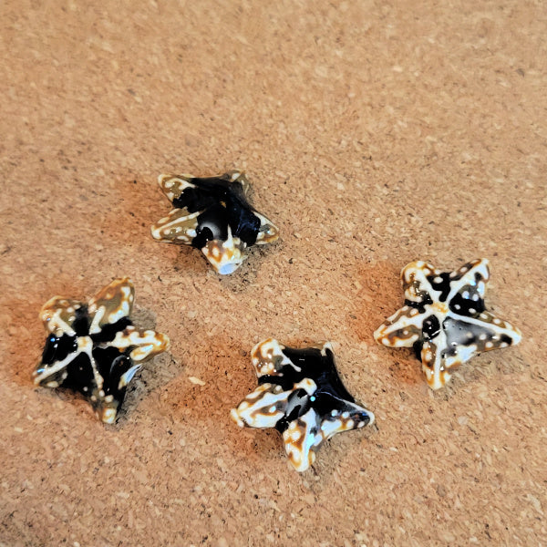 Black & Cream Porcelain Starfish Beads, 19x20mm, 4pcs